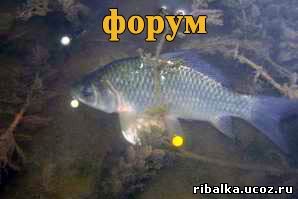 Рыбалка Перевальского района